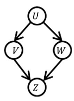 Bayesian Network