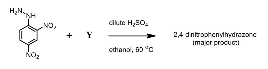 The CORRECT option(s) of Y for the following reaction is/are