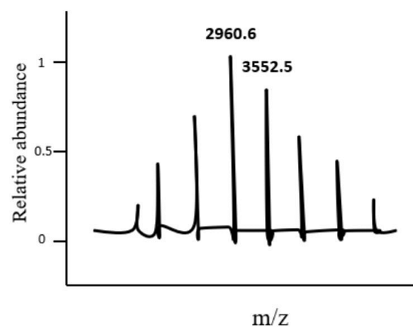 The spectrum of a protein obtained using electrospray ionization mass spectrometry (ESI-MS)